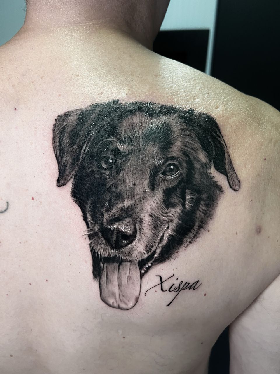 Tatuaje realista en la espalda, junto al omóplato: retrato de un perro con la lengua fuera y su nombre en letra caligráfica, en negro y grises